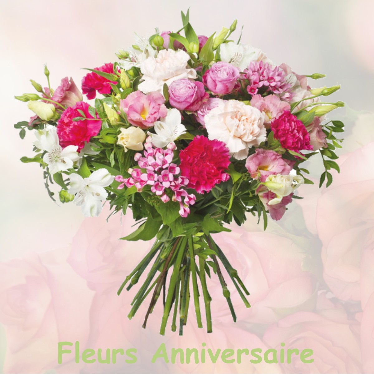 fleurs anniversaire NORROY-LE-SEC